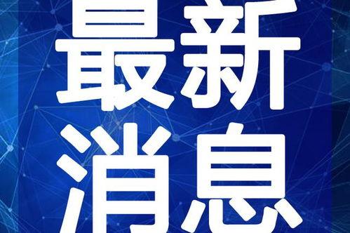 阜阳少爷房产爆料视频最新,揭秘楼市真相，购房者需警惕！