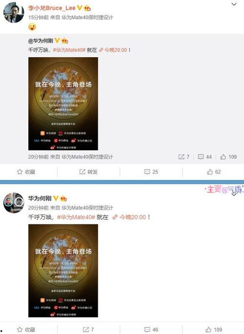 首发爆料最新视频,首发爆料!最新视频揭秘惊人内幕