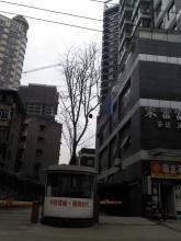 成都青羊区最新爆料信息,聚焦区域发展新动态