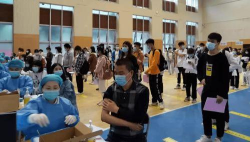 中骏爆料最新消息新闻报道,揭秘公司最新动态与未来规划