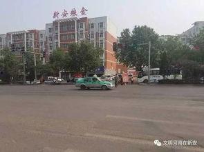 新安县最新爆料,揭秘神秘事件背后的真相